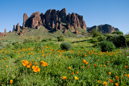 Superstition Mountain View Superstition Mountain View