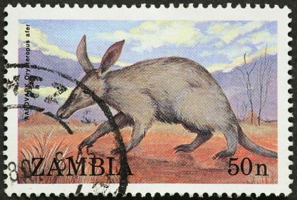 Postage stamp from Zambia Use Bank On Yourself method to finance philanthropic and charitable giving